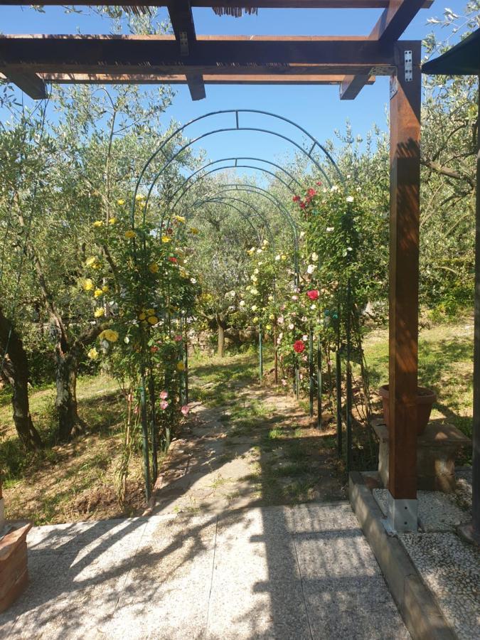 סיינה Casa Vacanze L'Oliveta מראה חיצוני תמונה