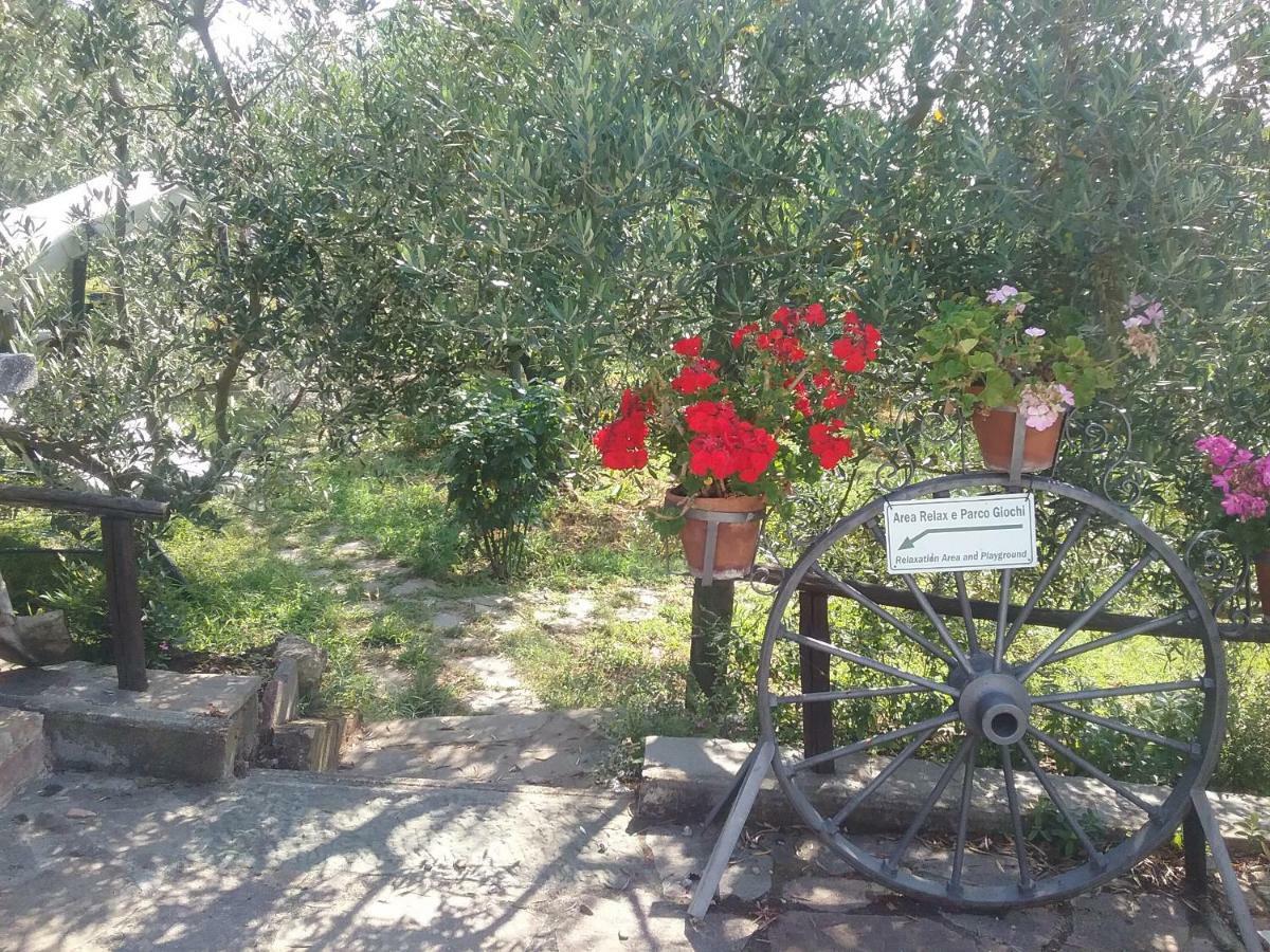 סיינה Casa Vacanze L'Oliveta מראה חיצוני תמונה