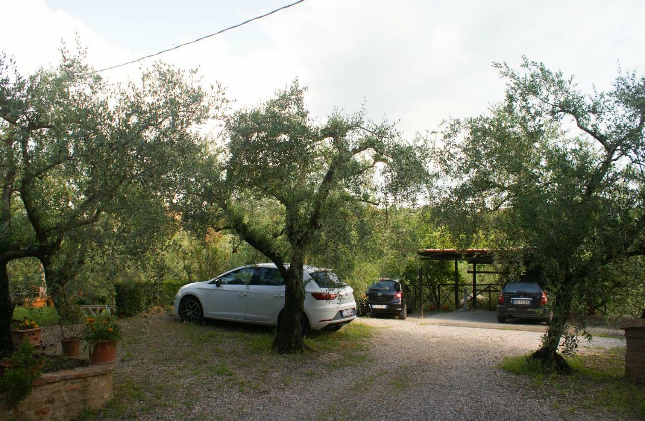 סיינה Casa Vacanze L'Oliveta מראה חיצוני תמונה