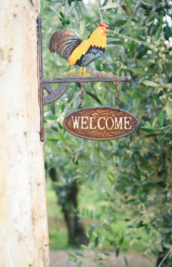 סיינה Casa Vacanze L'Oliveta מראה חיצוני תמונה